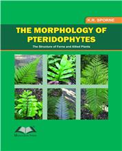 The Morphology of Pteridophytes the Structure of Ferns and Apllied Plants