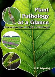 Plant Pathology At A Glance (encyclopedia Of Plant Pathology)