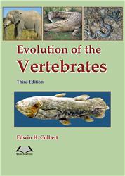 Evolution of the Vertebrates