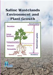 Saline Wastelands Environment and Plant Growth
