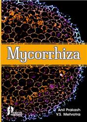 Mycorrhiza