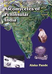 Ascomycetes of Peninsular India