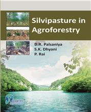 Silvipasture in Agroforestry