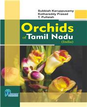 Orchids Of Tamil Nadu (India)