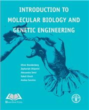 Introduction to Molecular Biology and Genetic Engineering