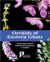 Orchids of Eastern Ghats (India)