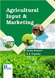 Agricultural Input & Marketing
