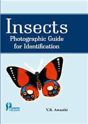 Insects: Photographic Guide for Identification