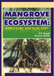 Mangrove Ecosystem Structure and Function