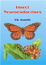 Insect Neuroendocrines
