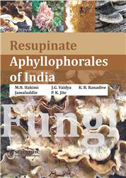Resupinate Aphyllophorales of India
