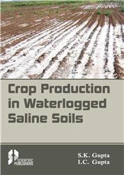 Crop Production in Waterlogged Saline Soils