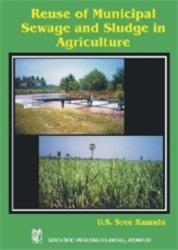 Reuse of Municipal Sewage and Sludge in Agriculture