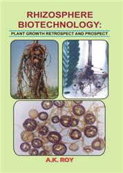 Rhizosphere Biotechnology: Plant Growth-Retrospect and Prospect