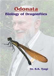 Odonata Biology of Dragonflies