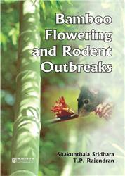 Bamboo Flowering and Rodent Outbreaks
