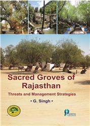Sacred Groves of Rajasthan