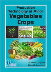 Production Technology of Minor Vegetable Crops