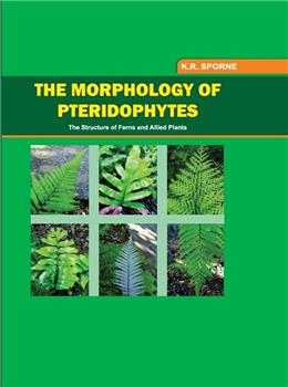 The Morphology of Pteridophytes the Structure of Ferns and Apllied Plants