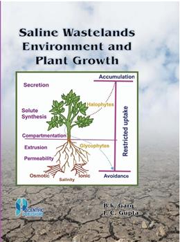 Saline Wastelands Environment and Plant Growth