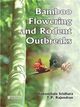 Bamboo Flowering and Rodent Outbreaks