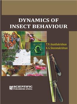 Dynamics of Insect Behaviour