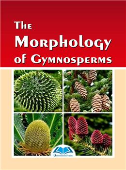 The Morphology of Gymnosperms