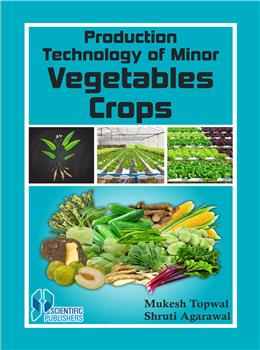 Production Technology of Minor Vegetable Crops