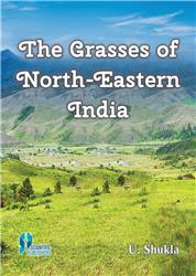 The Grasses of North-Eastern India