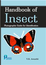 Handbook of Insects: Photographic Guide for Identification