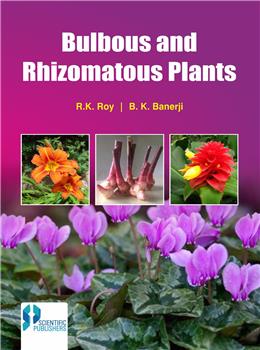 Bulbous and Rhizomatous Plants