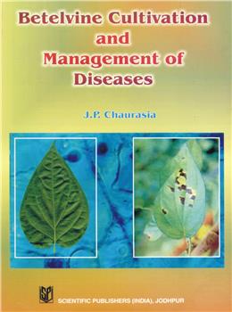 Betelvine Cultivation & Management of Diseases