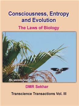 Consciousness, Entropy and Evolution: The Laws of Biology